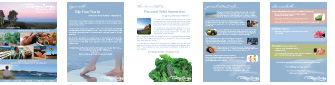 Living Synergy services A4 coloured brochure